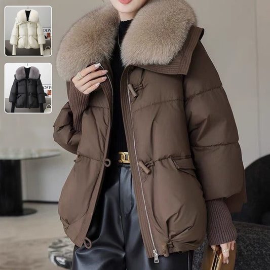Down Cotton-padded Jacket Women's Short Fur Collar Thickened Coat Winter Clothing - Fourth Pyramid USA