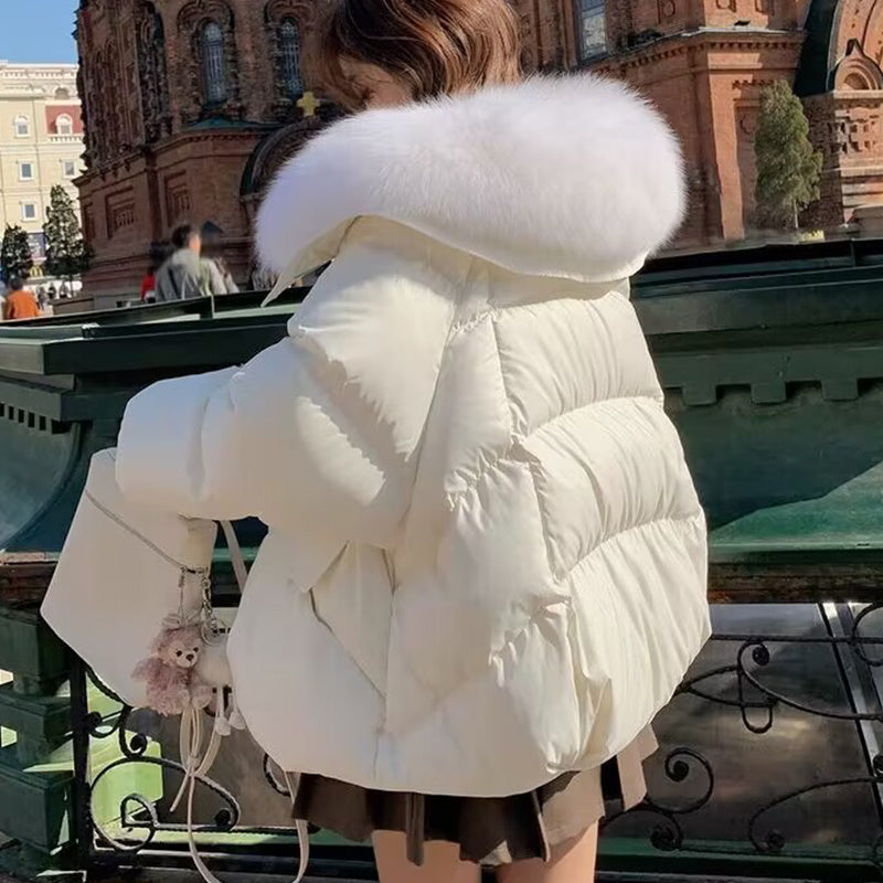 Down Cotton-padded Jacket Women's Short Fur Collar Thickened Coat Winter Clothing - Fourth Pyramid USA